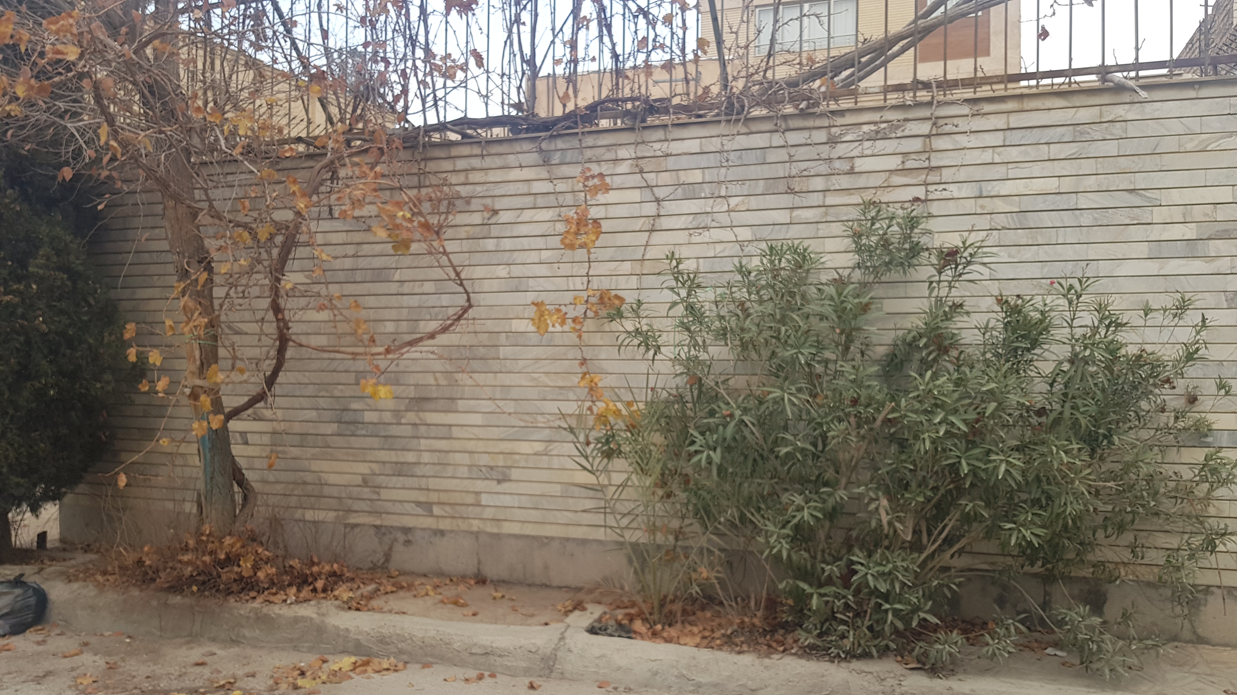 فروش, ملک کلنگی,  مسکونی ,  200 متر