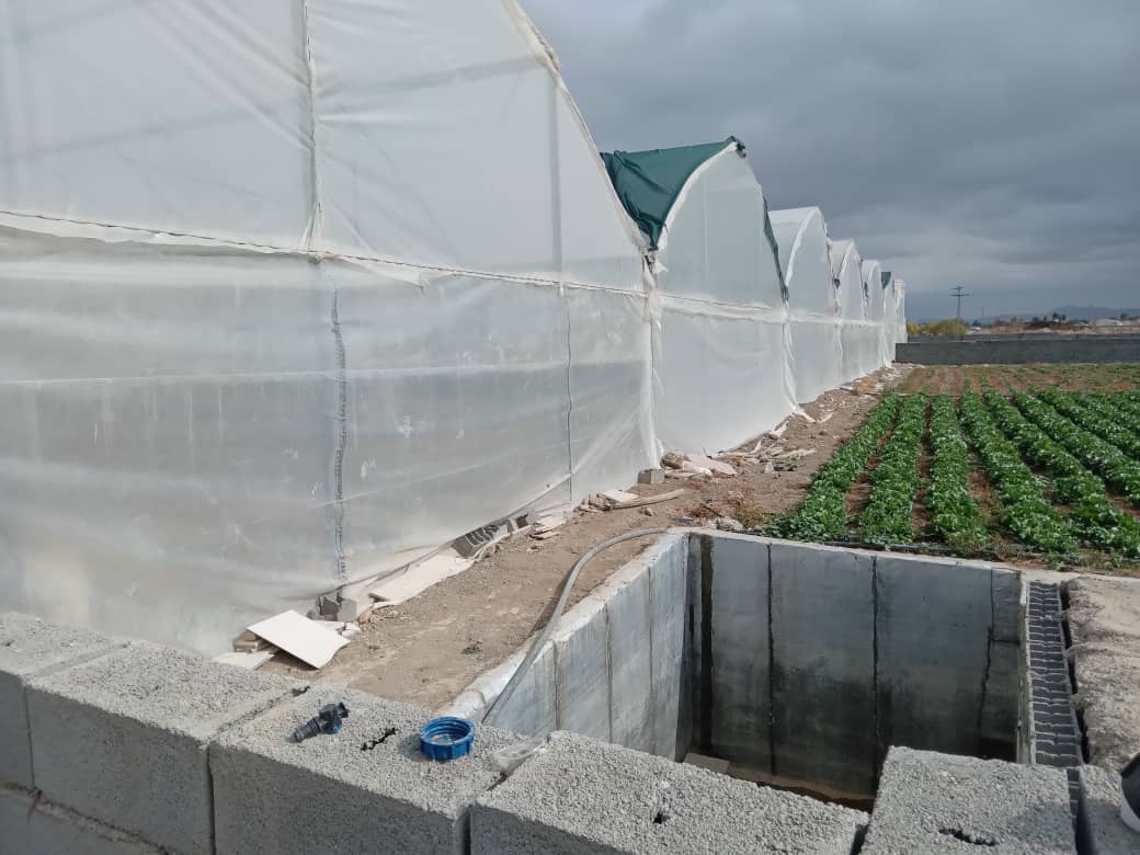 فروش, باغ و مزرعه,  باغ ,  کشاورزی ,  5000 متر