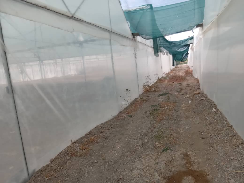 فروش, باغ و مزرعه,  باغ ,  کشاورزی ,  5000 متر