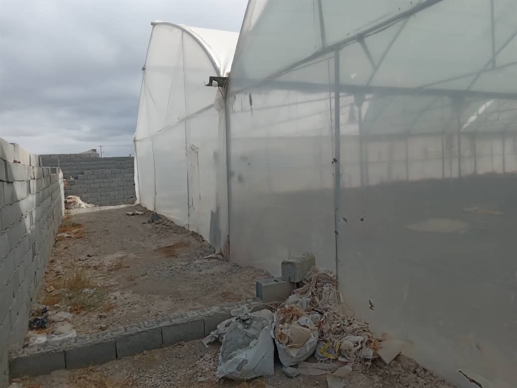 فروش, باغ و مزرعه,  باغ ,  کشاورزی ,  5000 متر