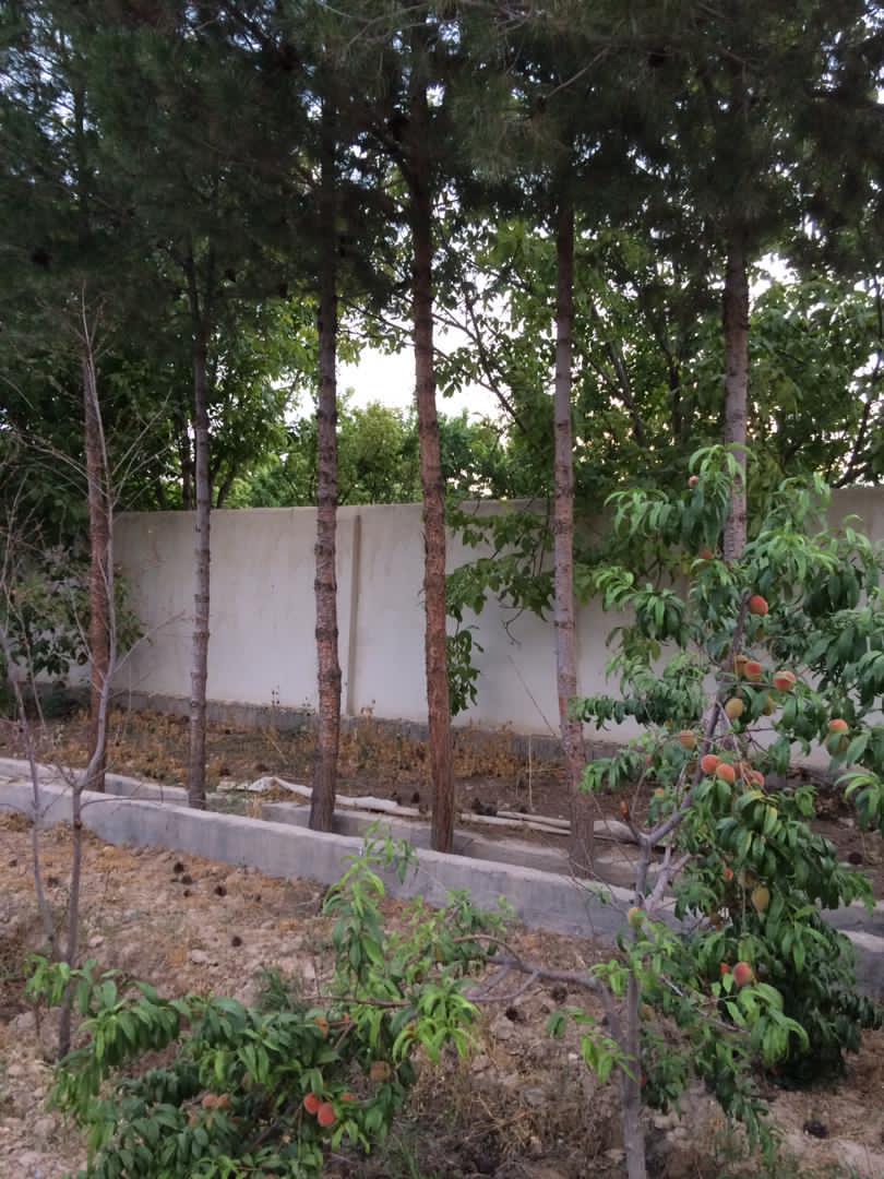 فروش, باغ و مزرعه,  باغ ,  1000 متر