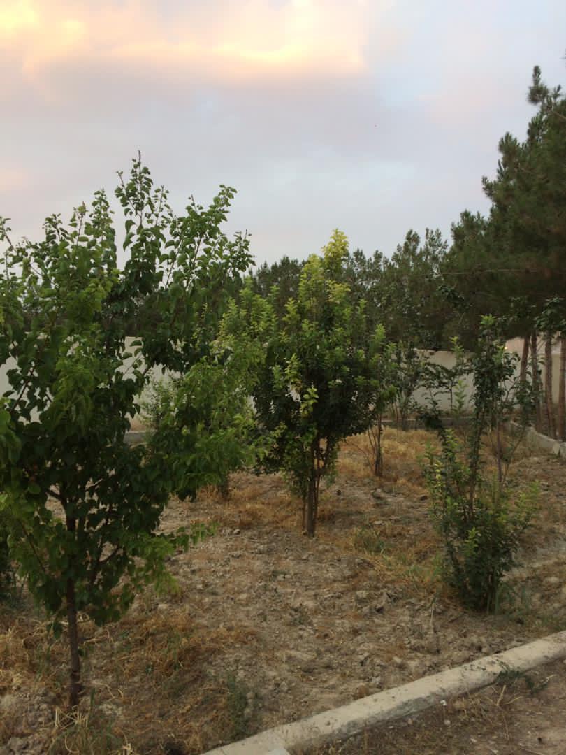 فروش, باغ و مزرعه,  باغ ,  1000 متر