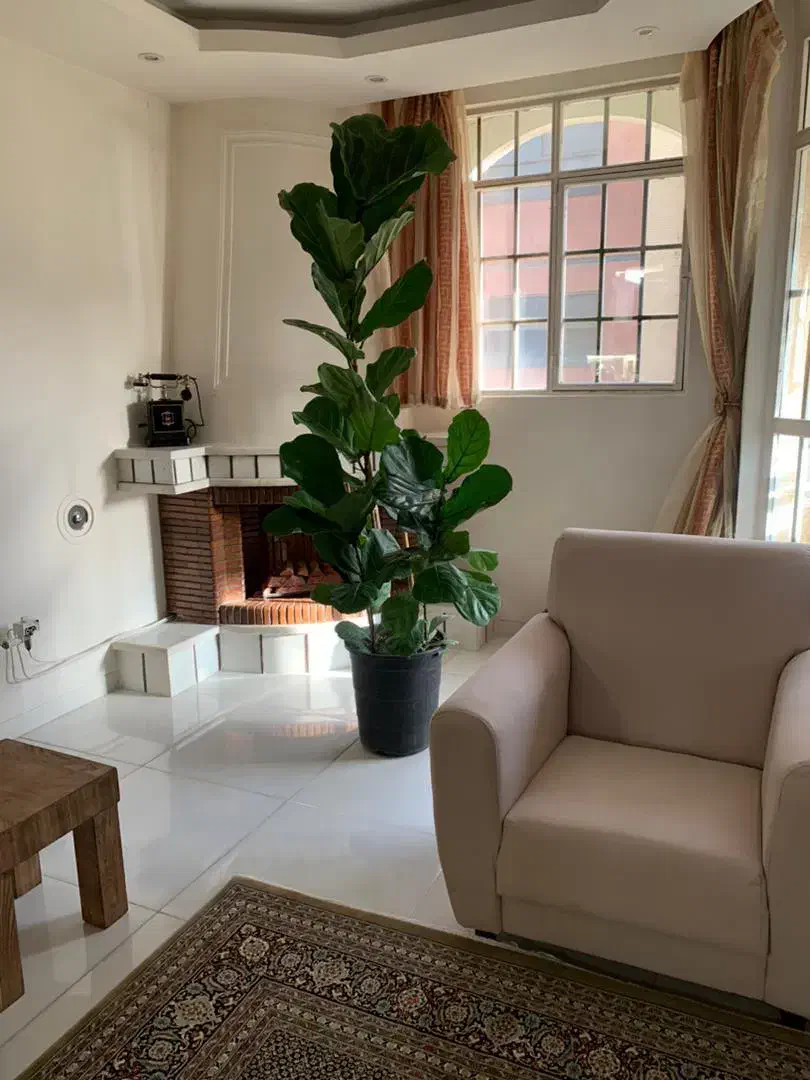 رهن و اجاره, آپارتمان,  مسکونی ,  135 متر